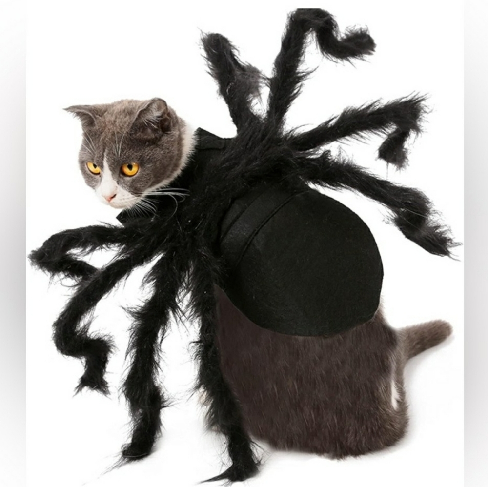 SPIDER COSTUME FOR DOGGO!!